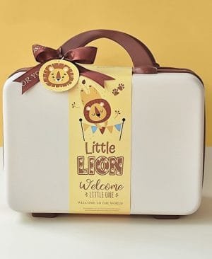 <h1 class="product_title entry-title">Baby Gift Box Set Little Lion Knitted Sweater</h1> - Image 6