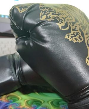 ⁦<h1 class="product_title entry-title">قفازات الملاكمة فليم تايجر - قفازات تدريب الملاكمة</h1>⁩ - الصورة ⁦6⁩