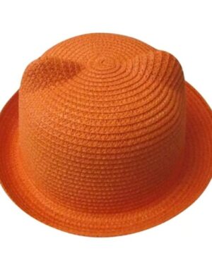 ⁦<h1 class="product_title entry-title">قبعة صيفية كورية بأذني قطة لطيفة قبعة قش قبعة شمسية</h1>⁩ - الصورة ⁦6⁩