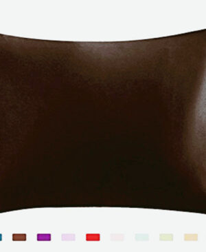 <h1 class="product_title entry-title">Pillowcase Satin Solid Color Simulation Silk Single Pillowcase Ice Silk Pillowcase</h1> - Image 9