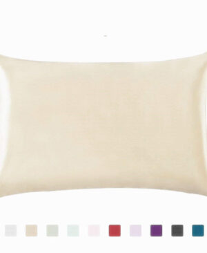 <h1 class="product_title entry-title">Pillowcase Satin Solid Color Simulation Silk Single Pillowcase Ice Silk Pillowcase</h1> - Image 5