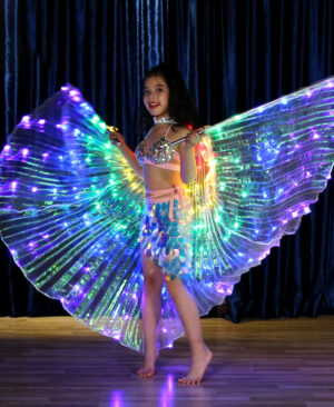 LED light wings - Image 5