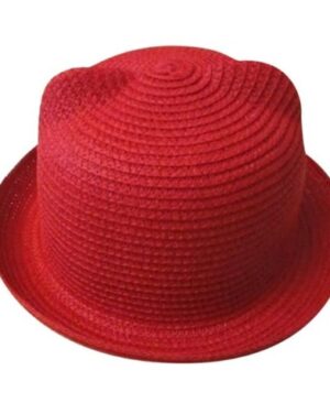 ⁦<h1 class="product_title entry-title">قبعة صيفية كورية بأذني قطة لطيفة قبعة قش قبعة شمسية</h1>⁩ - الصورة ⁦8⁩