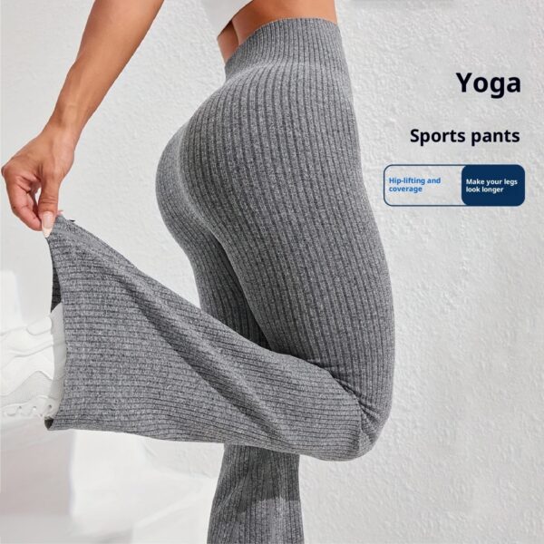 e4e729d5 2bad 467b 9f05 34c936ef66ae trans